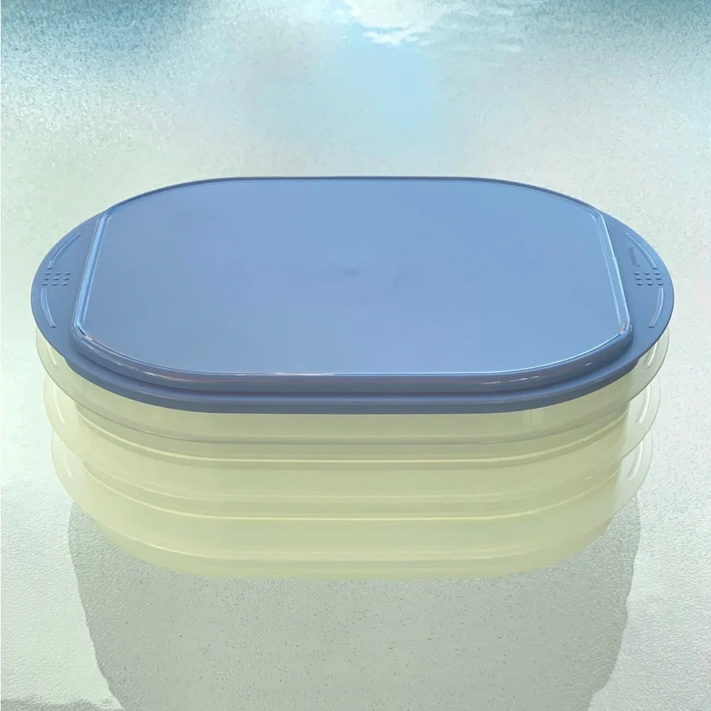 Tupperware Fridge Stackables Deli Meat Keeper Stacking Trays with Blue Lid